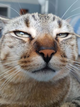 Someone is not amused